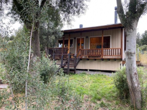 Cabaña de Montaña